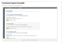 Comment Spam Example